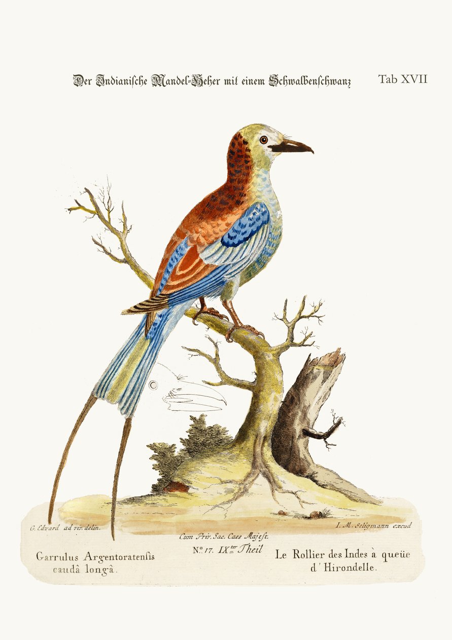 v autorstwa George Edwards