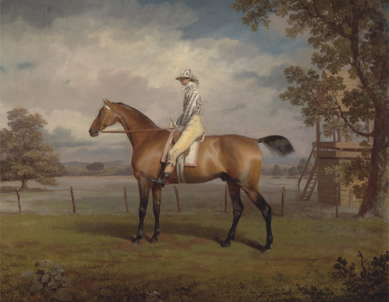Portret konia wyścigowego, być może przebranie, własność księcia Hamilton, z Jockey Up autorstwa George Garrard