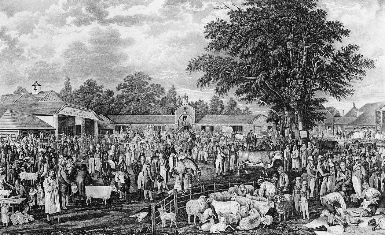Woburn Sheepshearing, grawerowane przez Thomasa Morrisa, 1811 autorstwa George Garrard