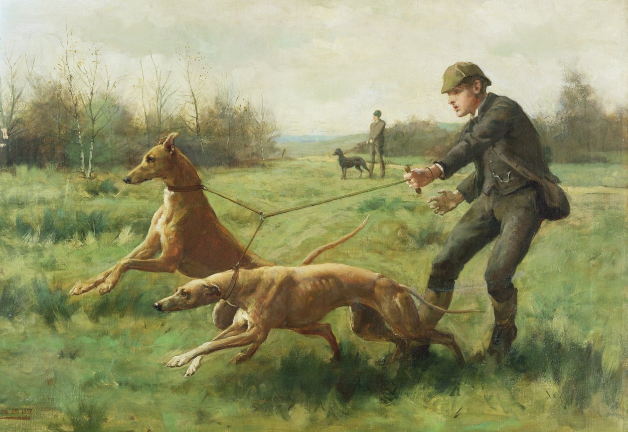 Ćwiczenie chartów autorstwa George Goodwin Kilburne