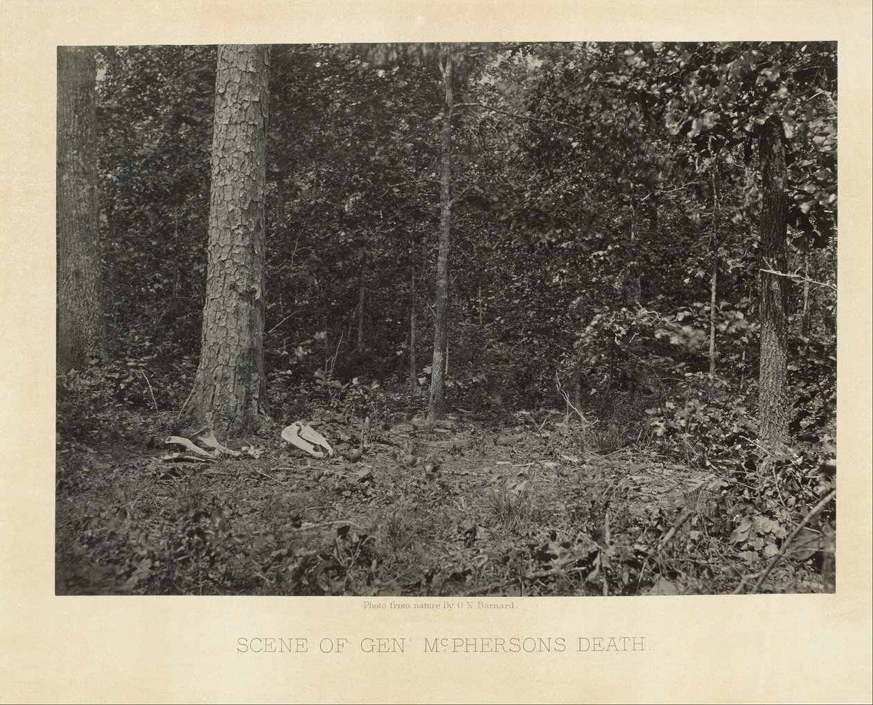 Scena śmierci generała McPhersona autorstwa George N. Barnard
