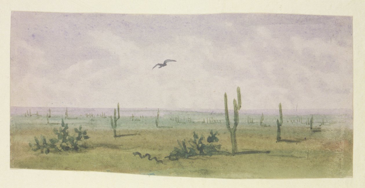 Amerykański boa dusiciel autorstwa George Sand