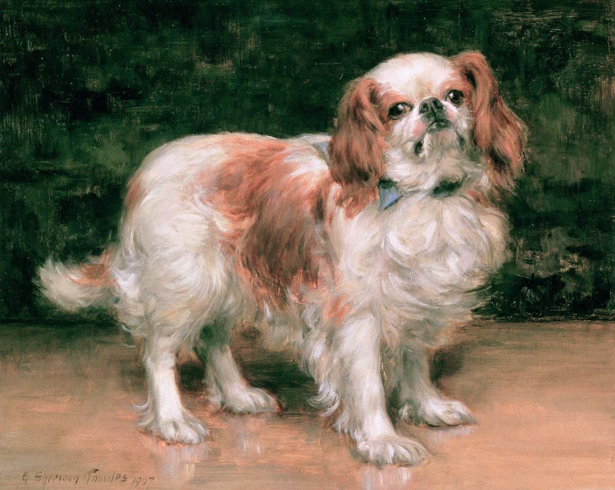 King Charles Spaniel, 1907 autorstwa George Sheridan Knowles