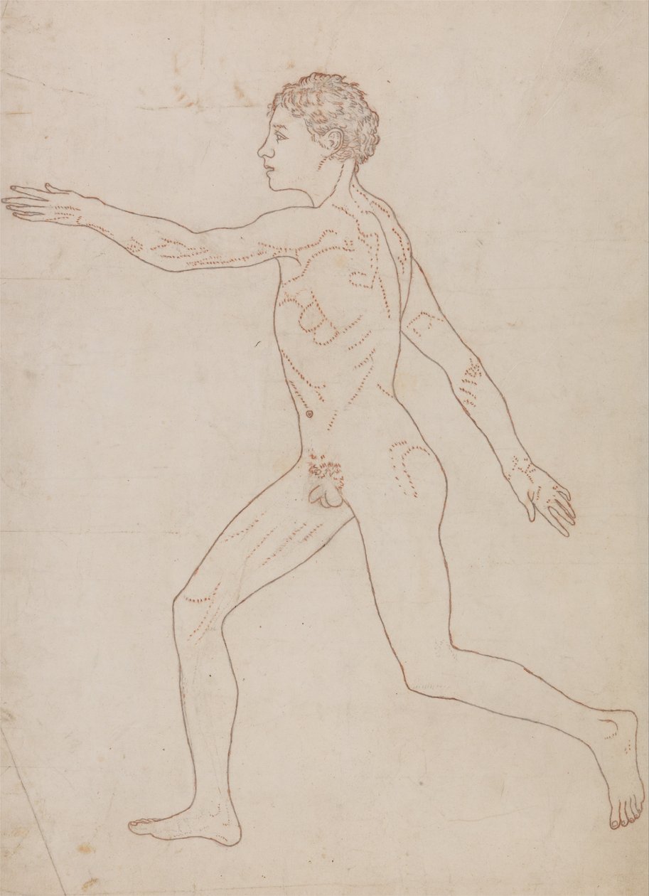 Porównawcza anatomiczna ekspozycja budowy ciała ludzkiego z ciałem tygrysa i ciała... autorstwa George Stubbs