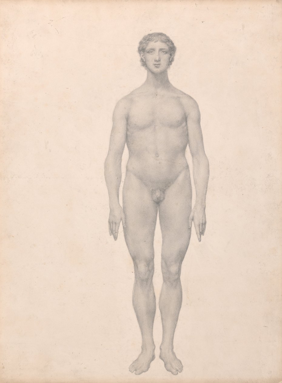 Porównawcza anatomiczna ekspozycja budowy ciała ludzkiego z ciałem tygrysa i ciała... autorstwa George Stubbs