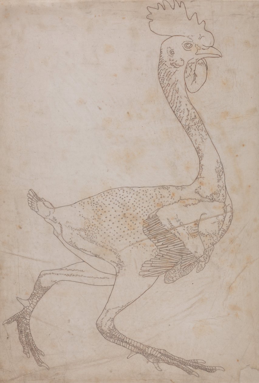 Porównawcza ekspozycja anatomiczna budowy ciała ludzkiego z ciałem tygrysa i ko... autorstwa George Stubbs