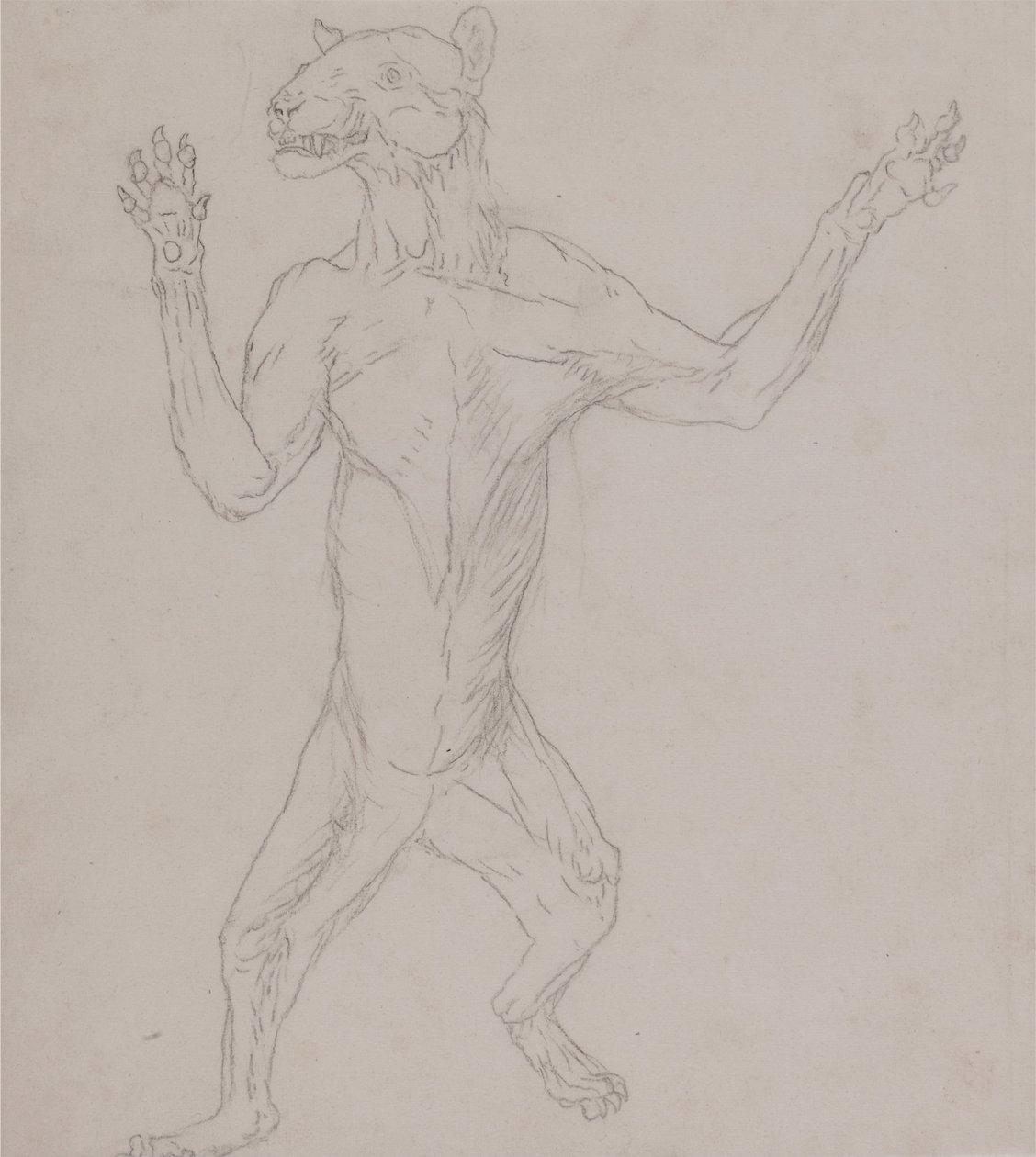 Porównawcza anatomiczna ekspozycja budowy ciała ludzkiego z ciałem tygrysa i ko... autorstwa George Stubbs