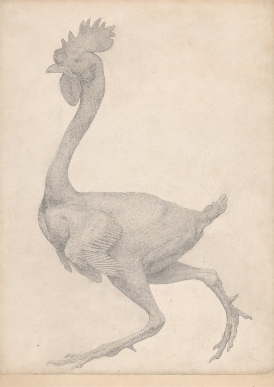 Porównawcza anatomiczna ekspozycja budowy ciała ludzkiego z ciałem tygrysa i ko... autorstwa George Stubbs