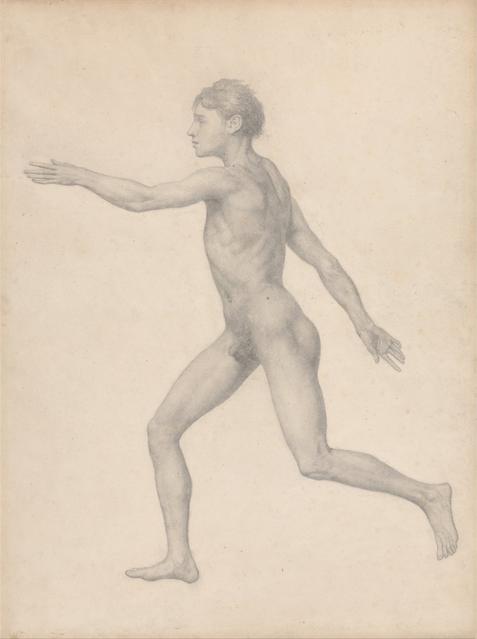 Porównawcza anatomiczna ekspozycja budowy ciała ludzkiego z ciałem tygrysa i ko... autorstwa George Stubbs