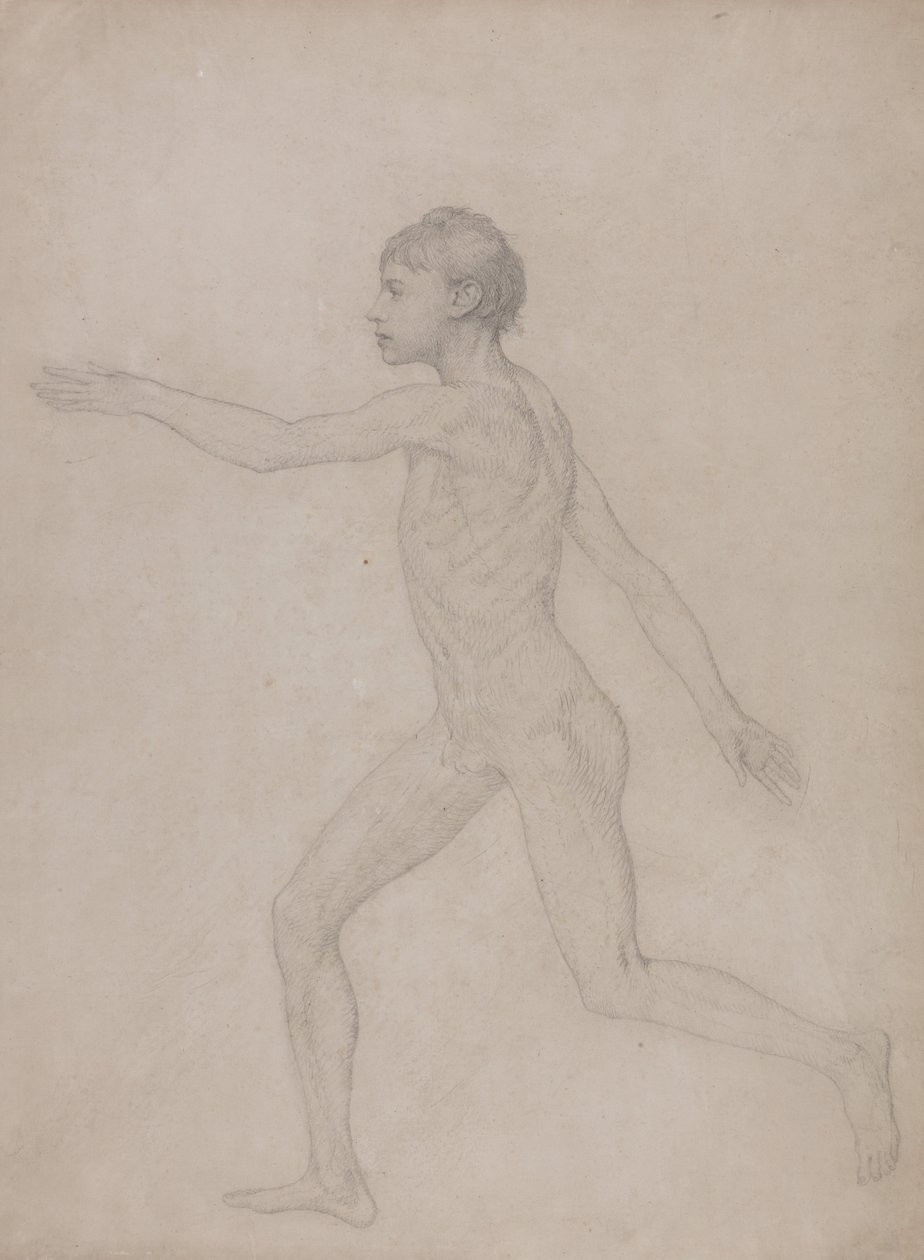 Porównawcza anatomiczna ekspozycja budowy ciała ludzkiego z ciałem tygrysa i ko... autorstwa George Stubbs