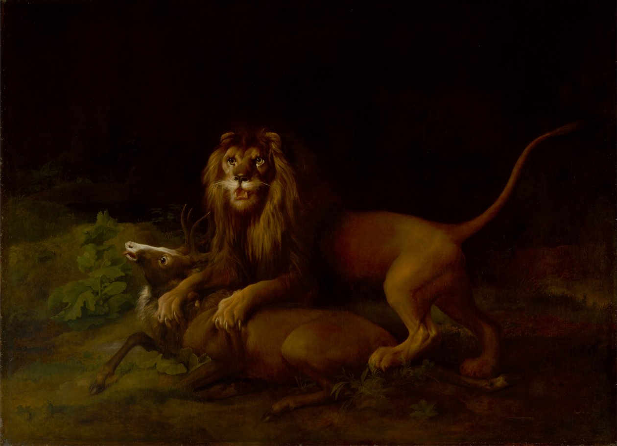 Lew atakujący jelenia autorstwa George Stubbs