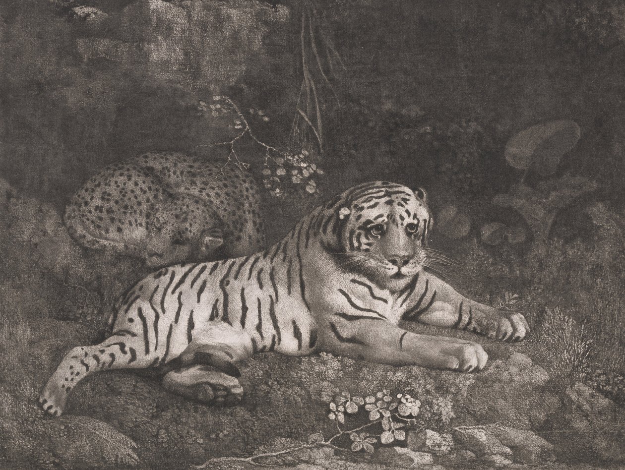 Tygrys i śpiący lampart autorstwa George Stubbs