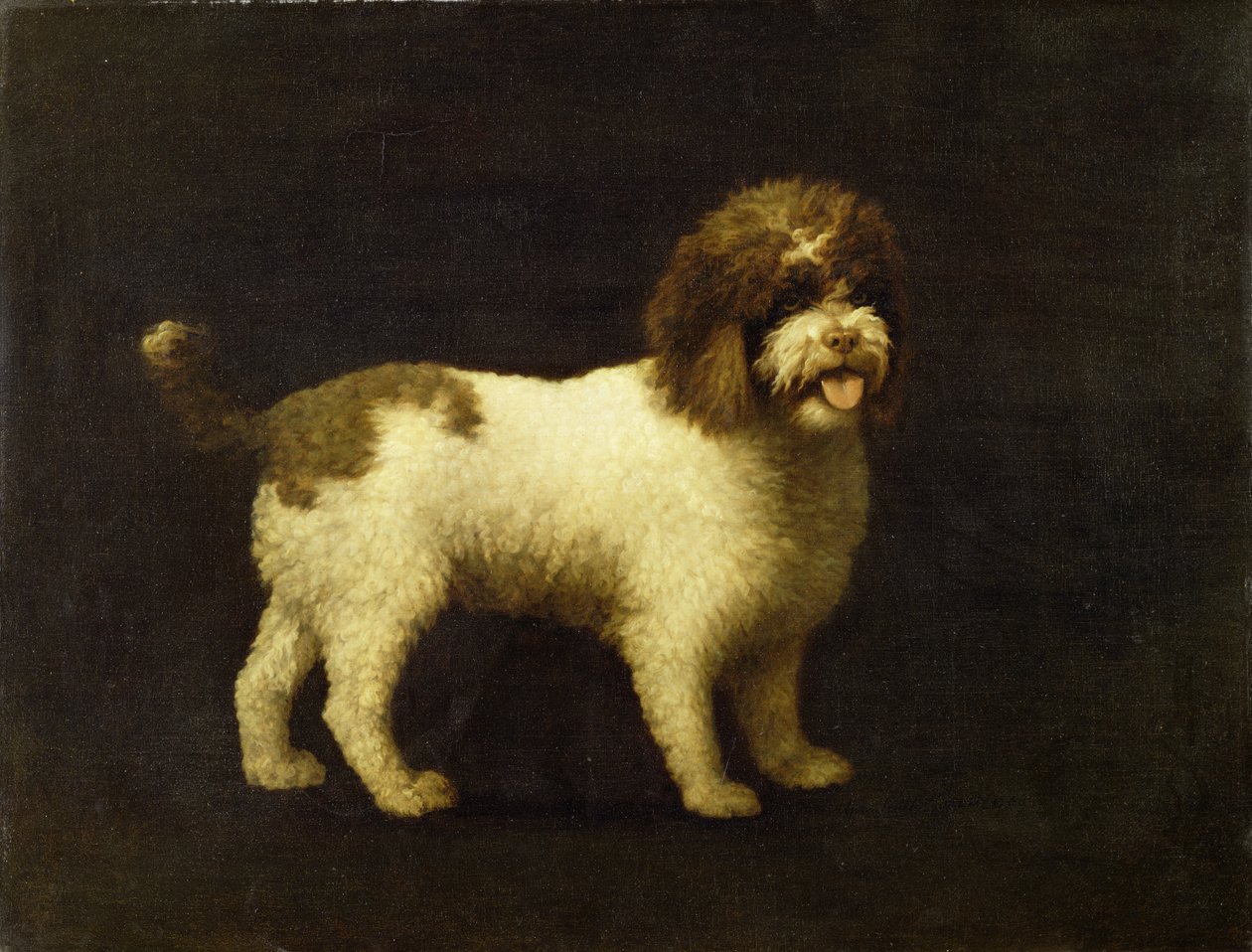 Spaniel wodny, 1769 autorstwa George Stubbs