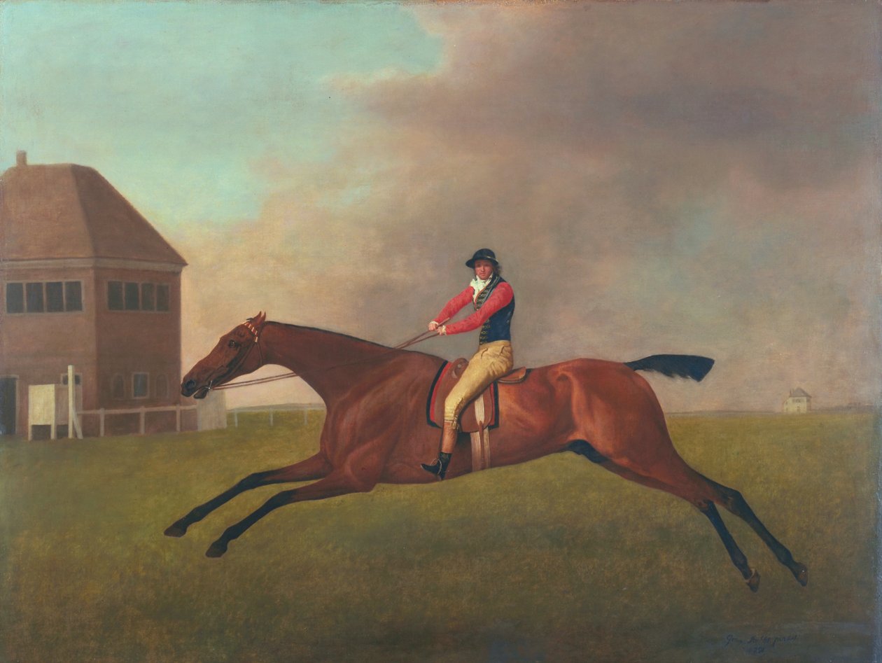 Baronet z Samem Chifneyem w górę, 1791 autorstwa George Stubbs