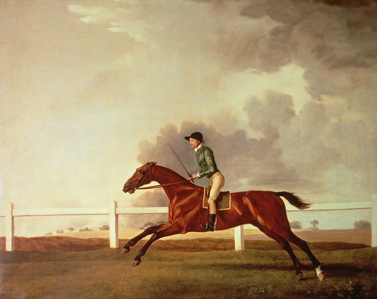 Bay Malton z Johnem Singletonem Up, c.1767 autorstwa George Stubbs