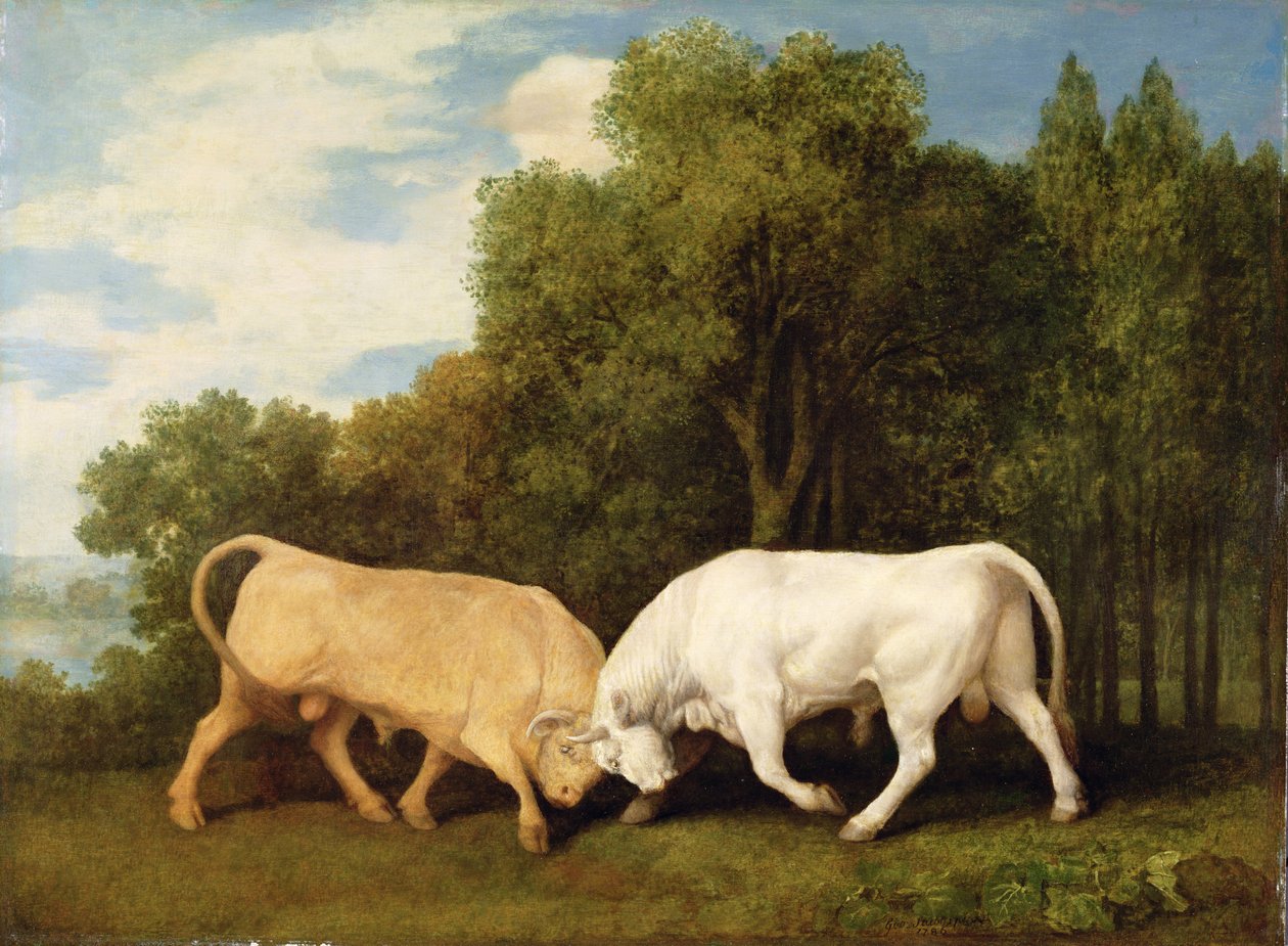 Walka byków, 1786 autorstwa George Stubbs