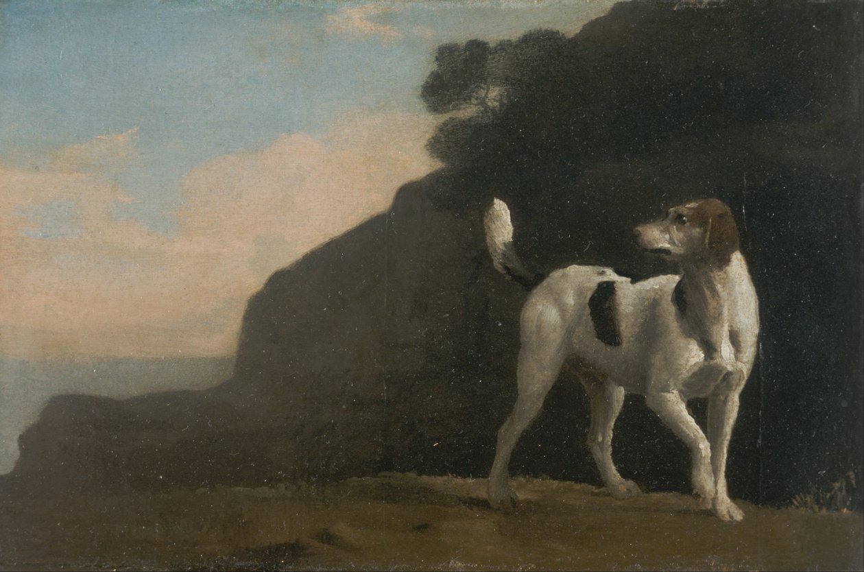 Foxhound autorstwa George Stubbs