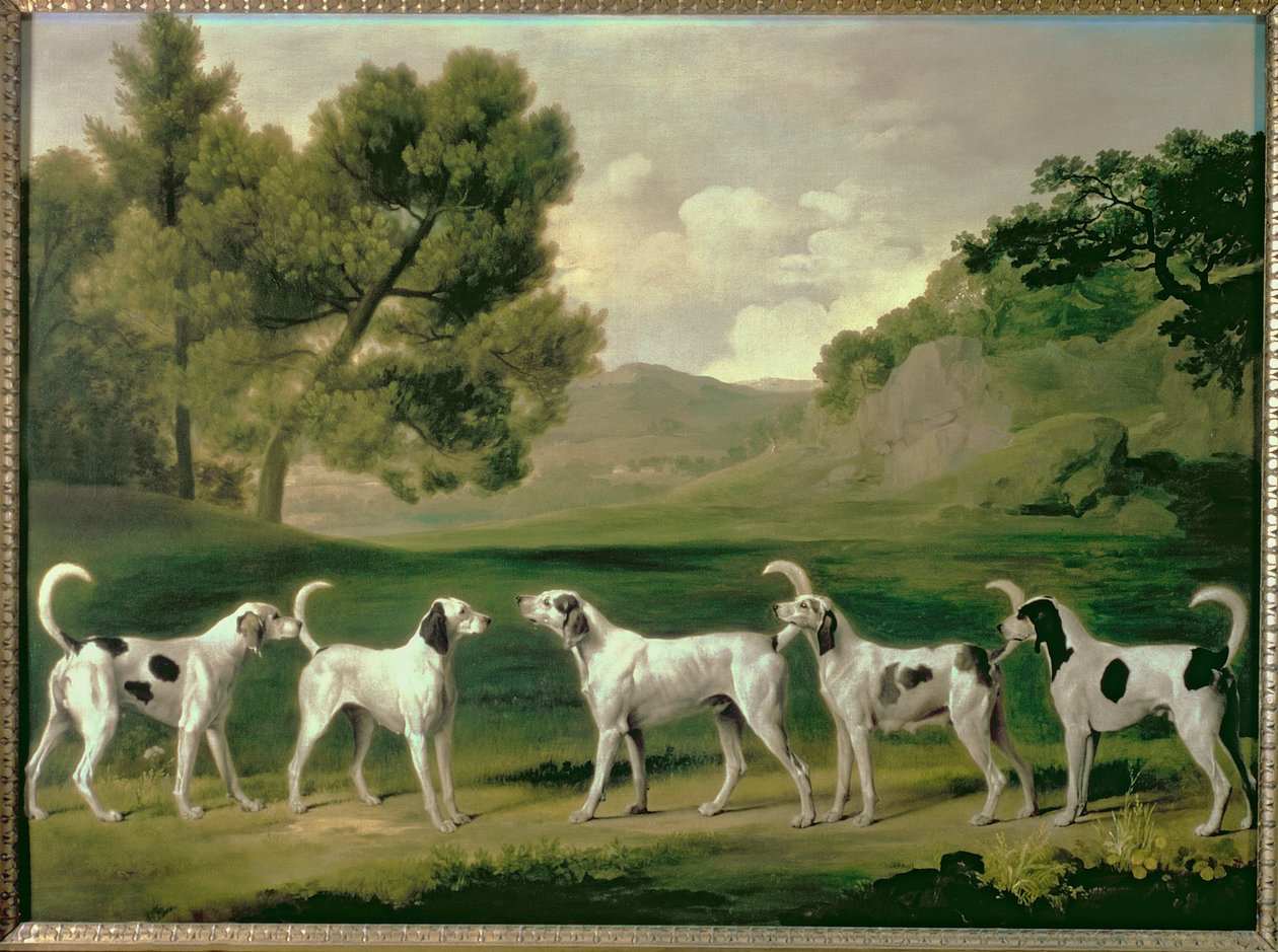 Foxhoundy w krajobrazie, 1762 autorstwa George Stubbs