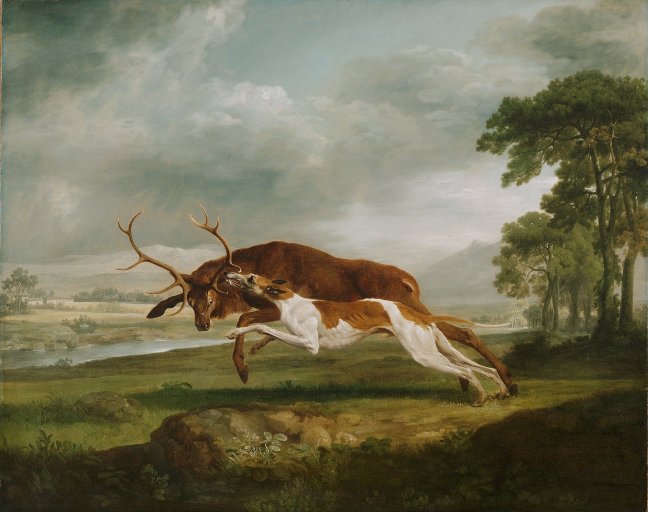 Pies biegający na jelenia autorstwa George Stubbs