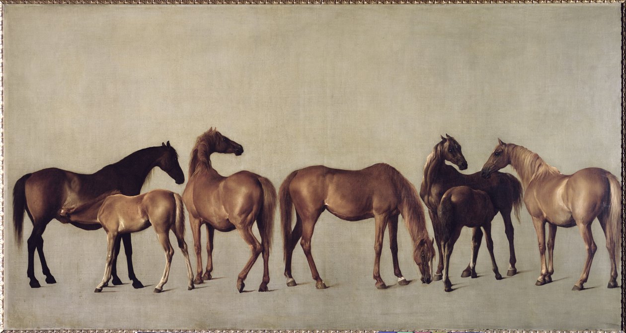 Klacze i źrebięta bez tła, ok. 1762 autorstwa George Stubbs