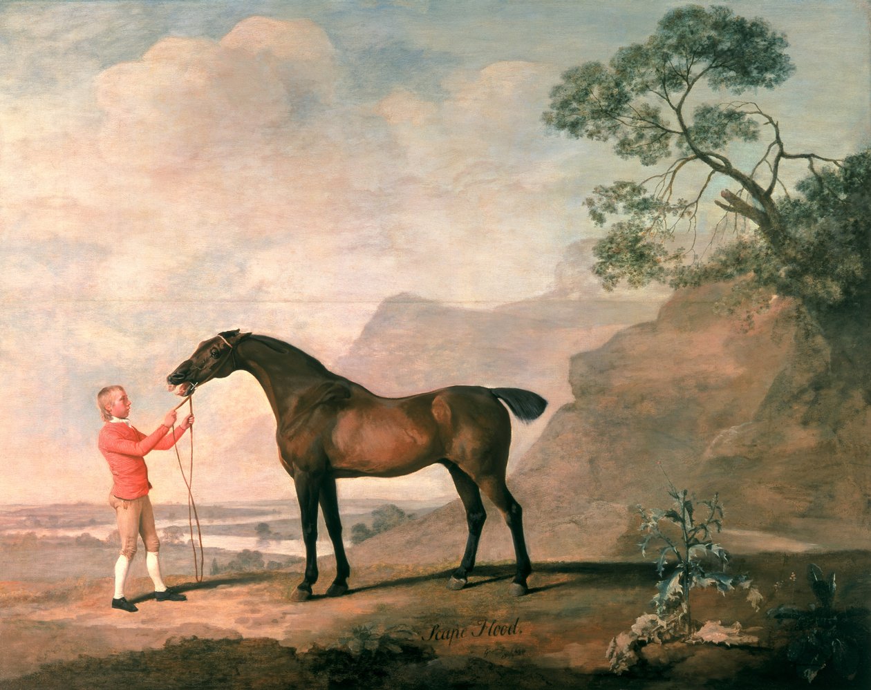 Scapeflood autorstwa George Stubbs