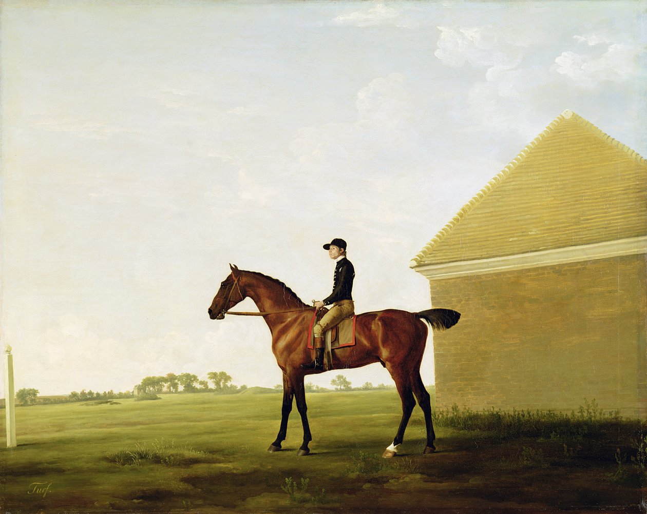 Turf, ok. 1765 (patrz 152743) autorstwa George Stubbs