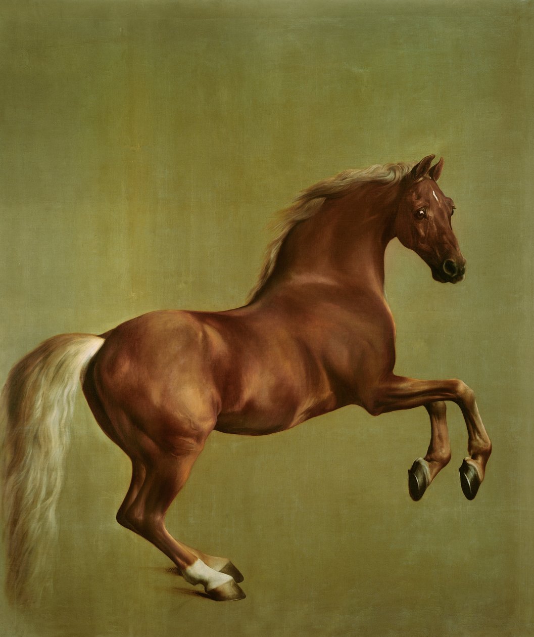 Whistlejacket, 1762 autorstwa George Stubbs