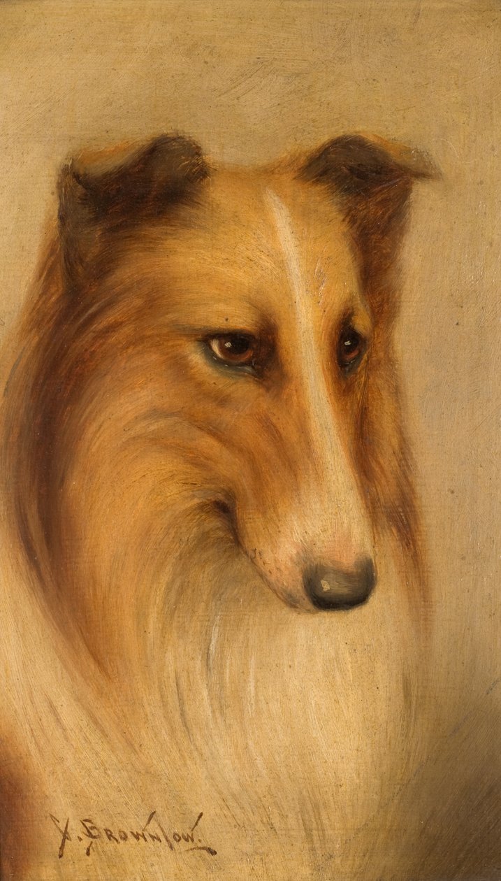 Olej collie na pokładzie autorstwa George Washington Brownlow