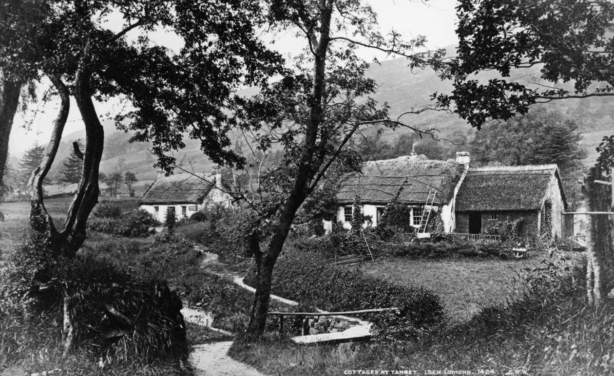 Domki w Tarbet, Loch Lomond, ok. 1860-80 autorstwa George Washington Wilson