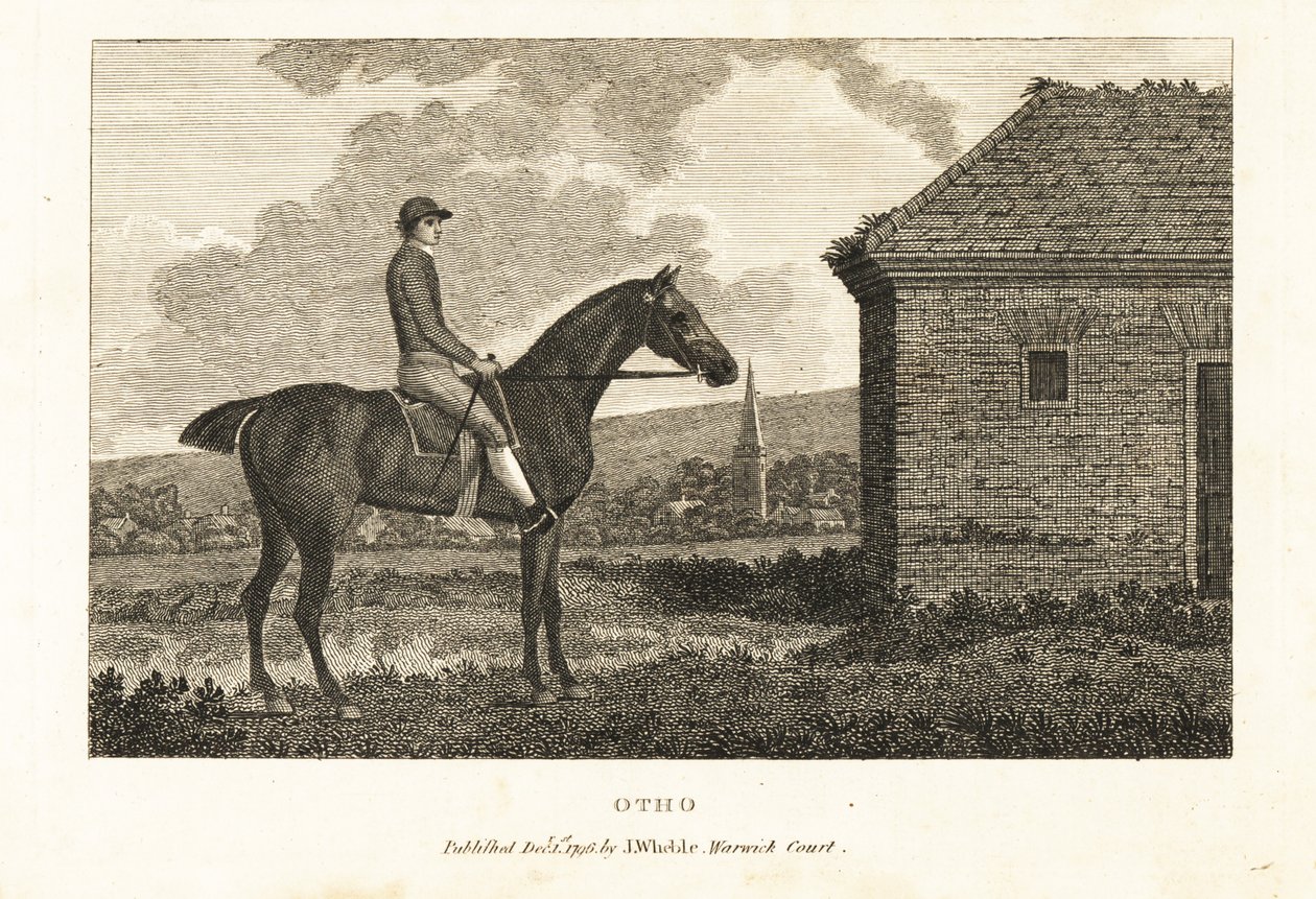 Portret rasowego konia wyścigowego Otho autorstwa George (after) Stubbs