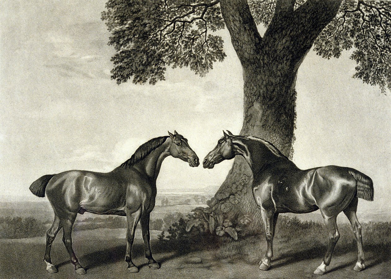Dwóch Łowców, grawerowane przez G.T. Stubbs (bap.1748-c.1815) (lito) (patrz także 266802) autorstwa George (after) Stubbs