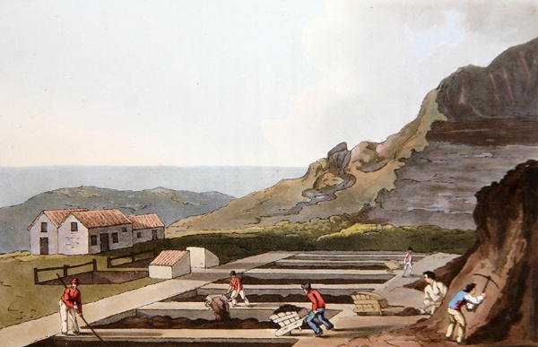 Alum Works, z "Kostium Yorkshire" grawerowane przez Roberta Havella (1769-1832) 1814 (kolor lito) autorstwa George (after) Walker