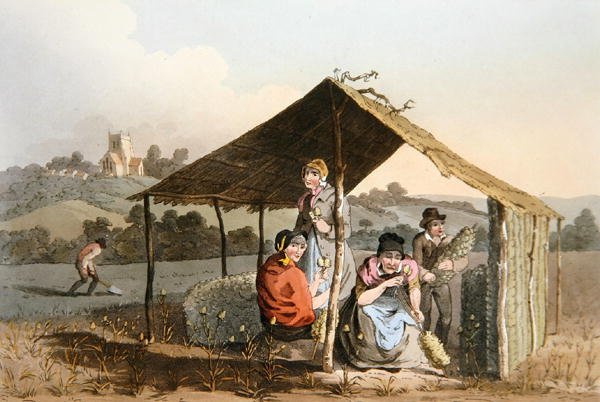 Pole Teazle, z „Kostium Yorkshire” rytowane przez Roberta Havella (1769-1832) 1814 (kolor lito) autorstwa George (after) Walker