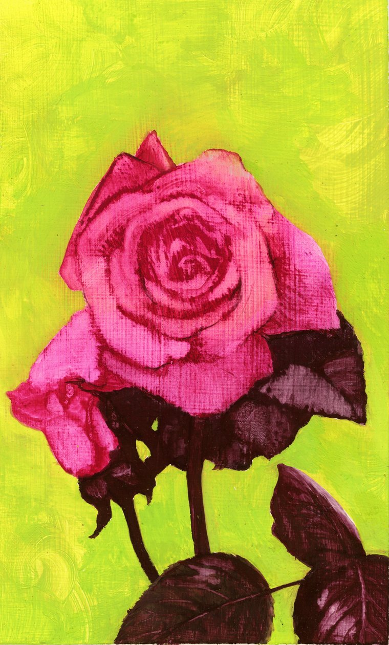 Bright Rose, lata 80. (gwasz na zagęszczonej płycie pilśniowej) autorstwa George Adamson