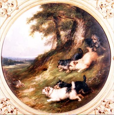 Teriery na króliki autorstwa George Armfield