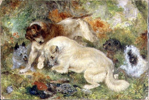 Teriery i Króliki w Lesie autorstwa George Armfield