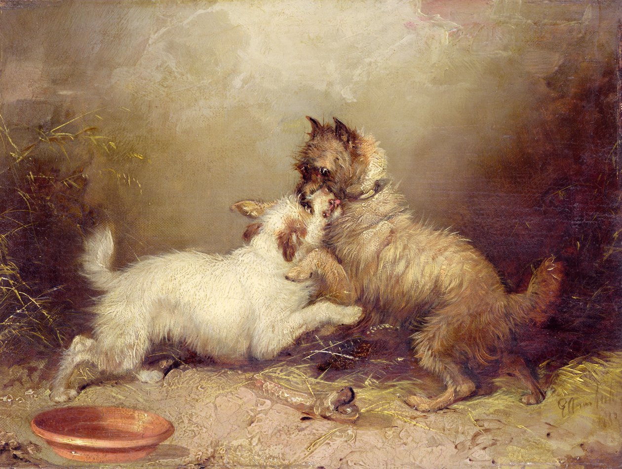  autorstwa George Armfield