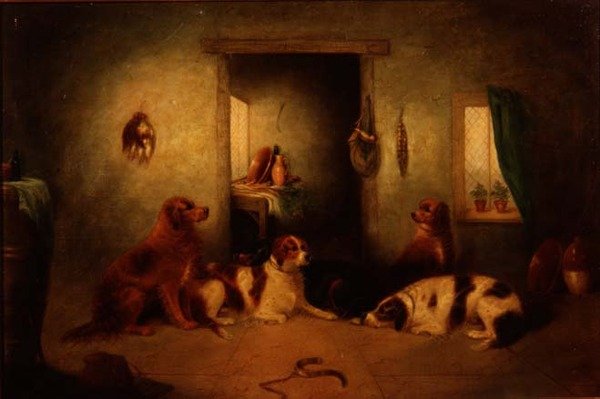 Psy kuchenne autorstwa George Armfield