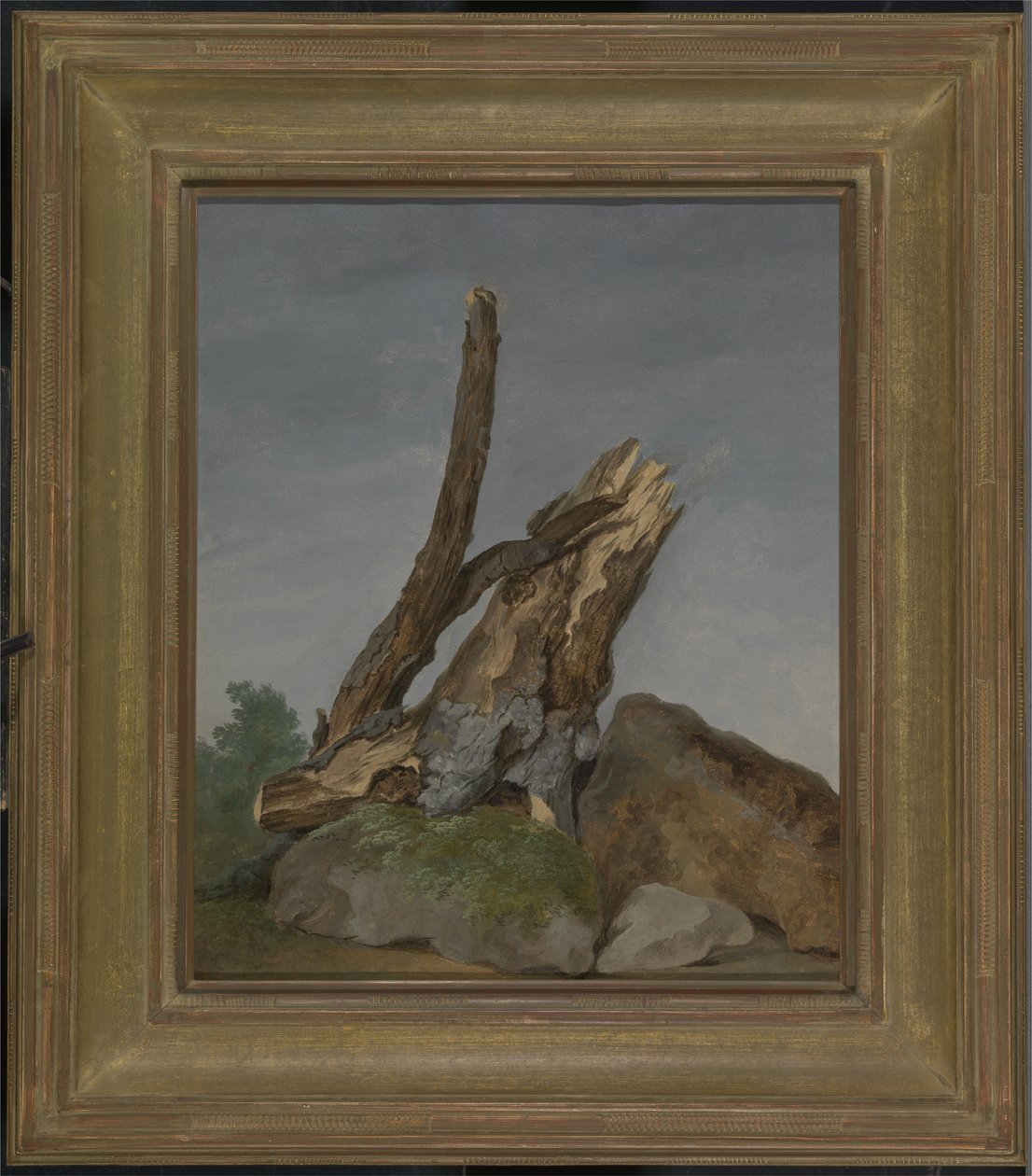 Studium skał i gałęzi, ok. 1795 (olej na papierze) autorstwa George Augustus Wallis