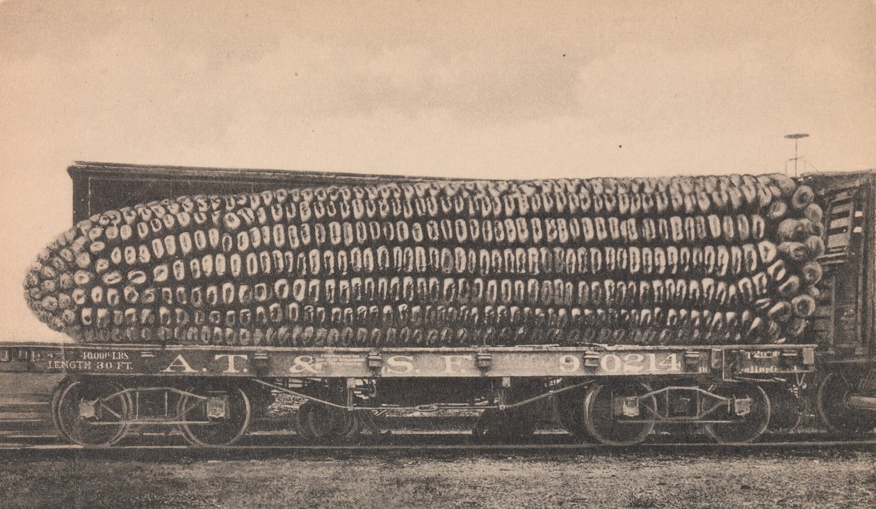 Ładunek samochodu Texas Corn, ca. 1910. autorstwa George B. Cornish