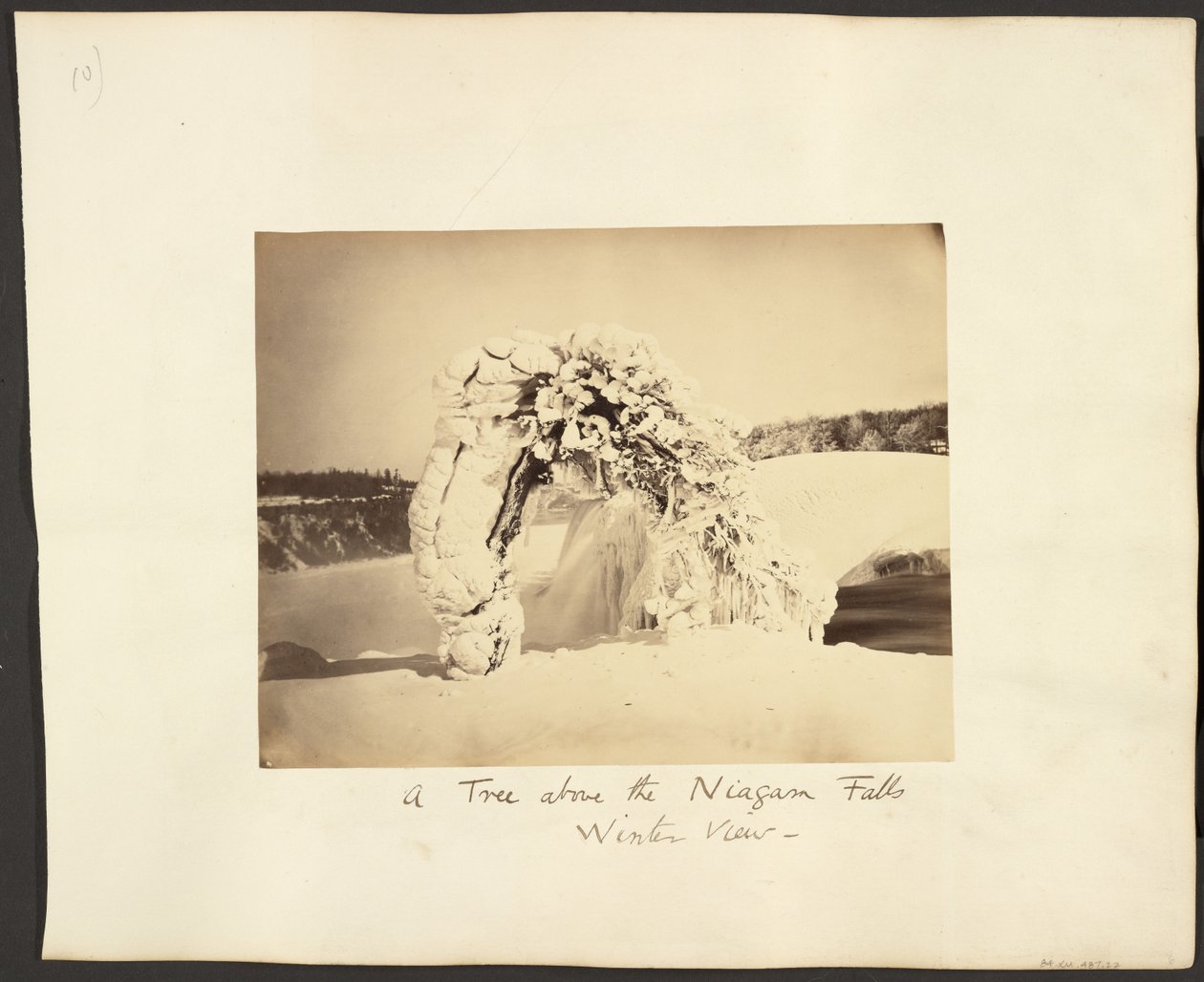 Drzewo nad wodospadem Niagara autorstwa George Barker