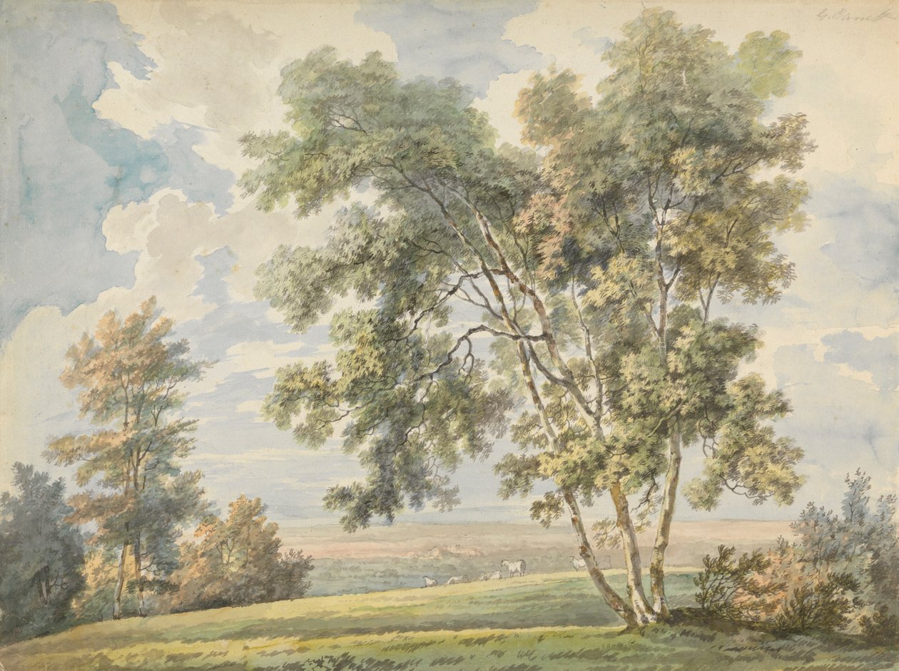 Krajobraz z drzewami i owcami (Pejzaż parkowy z owcami) autorstwa George Barret
