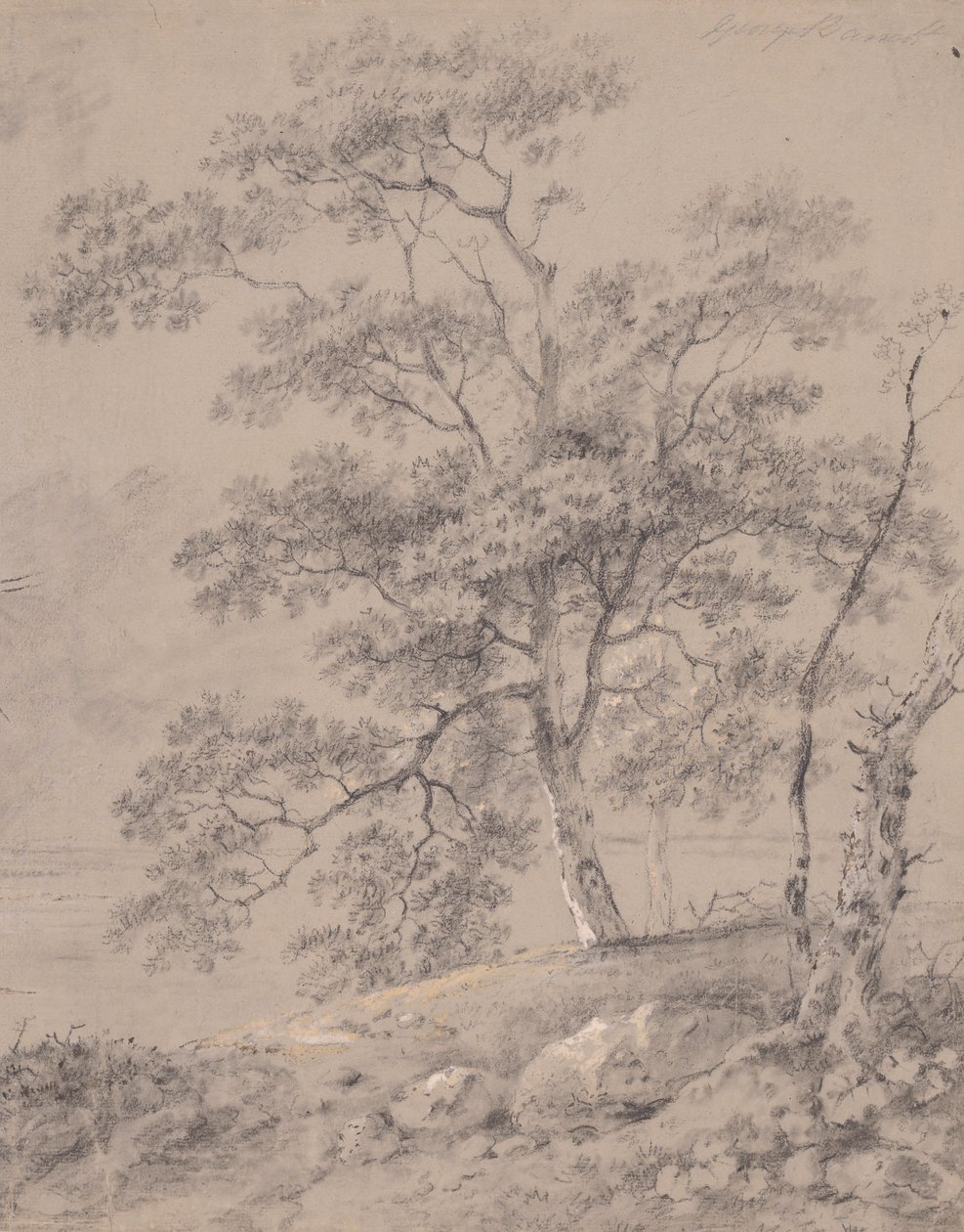 Studium drzewa autorstwa George Barret