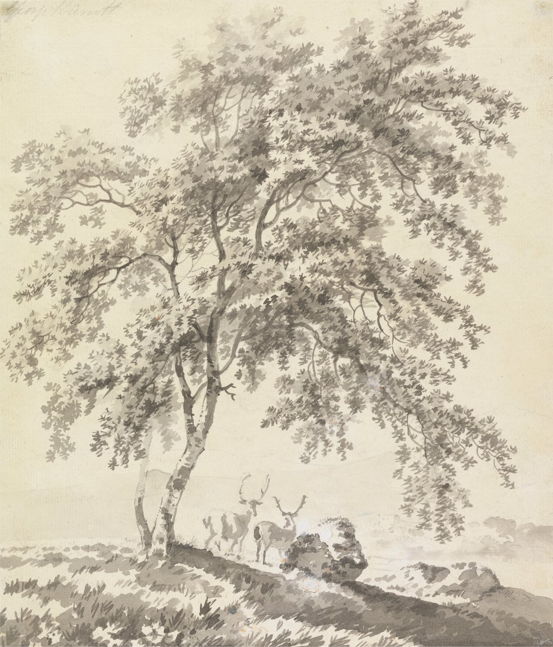Studium drzewa z jeleniami (krajobraz) autorstwa George Barret