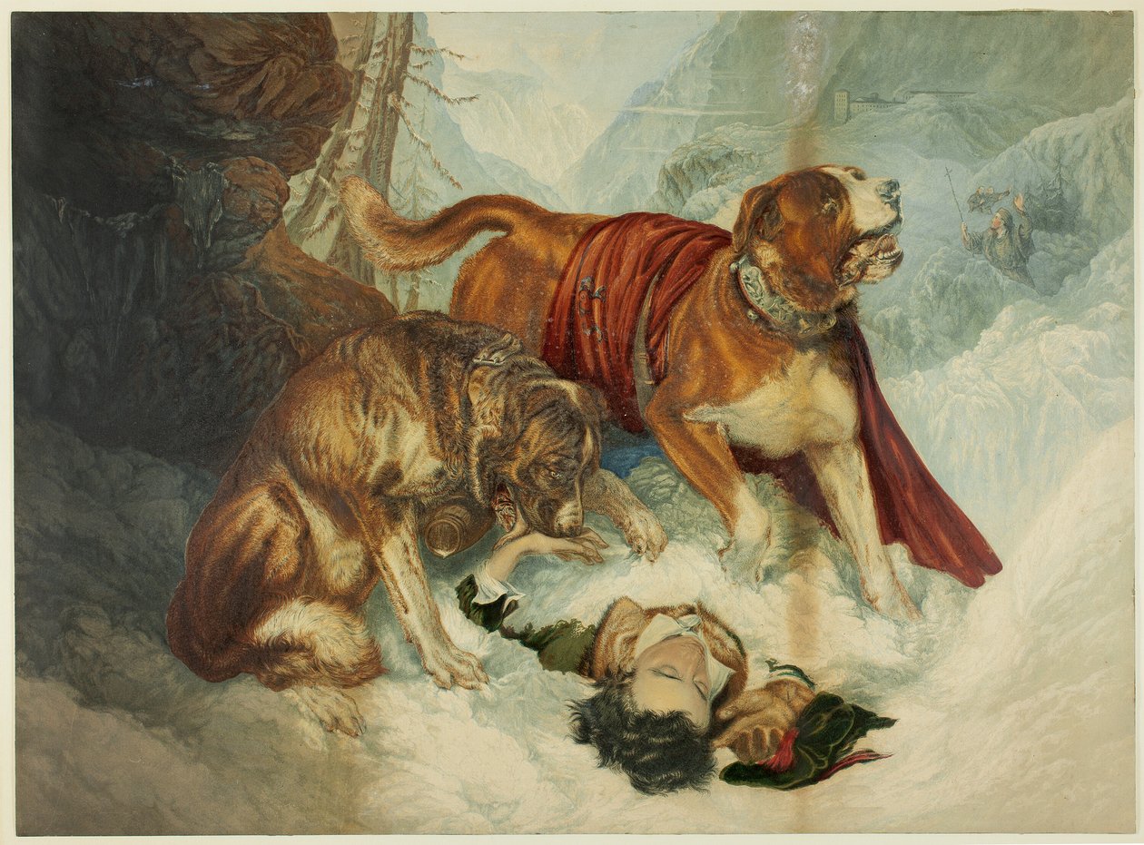 Psy Świętego Bernarda autorstwa George Baxter