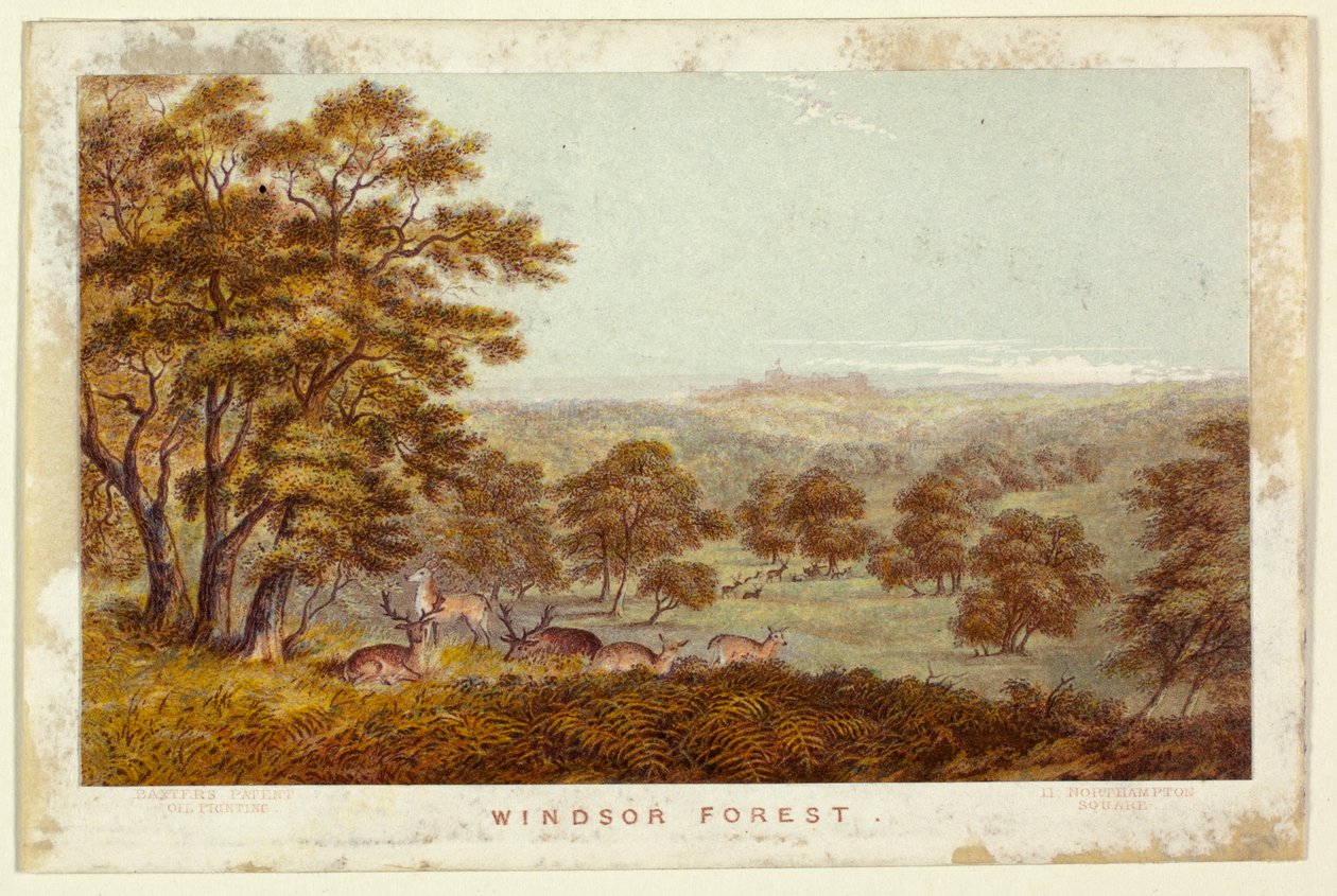 Las Windsor - wydanie kieszonkowe autorstwa George Baxter