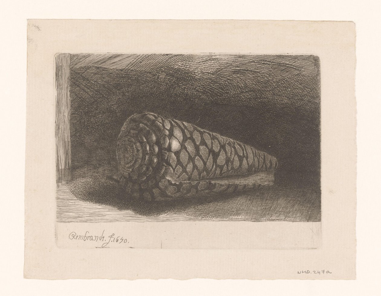 Muszla autorstwa George Bickham (II)