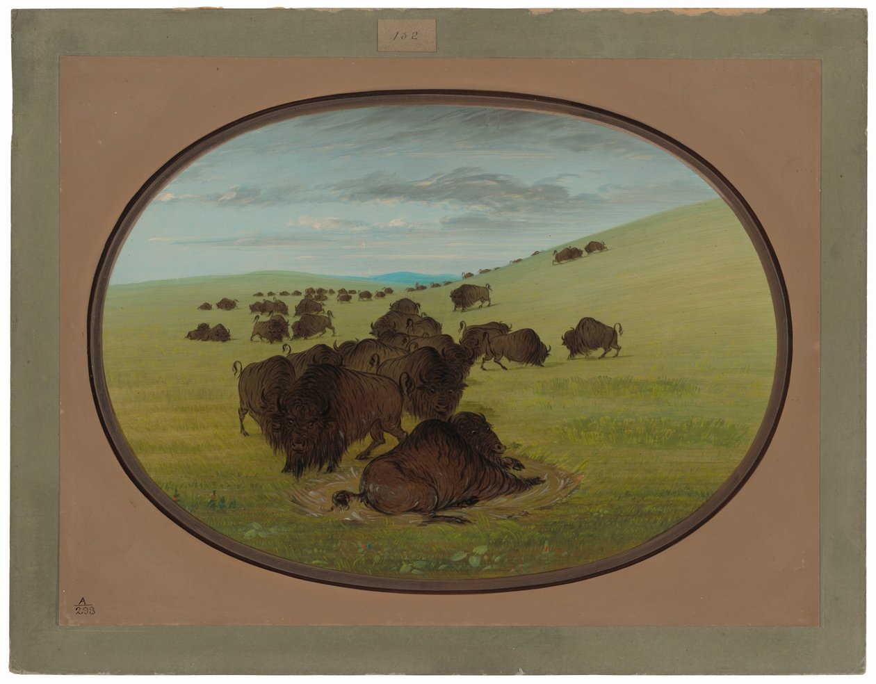 Bawół Wallow autorstwa George Catlin