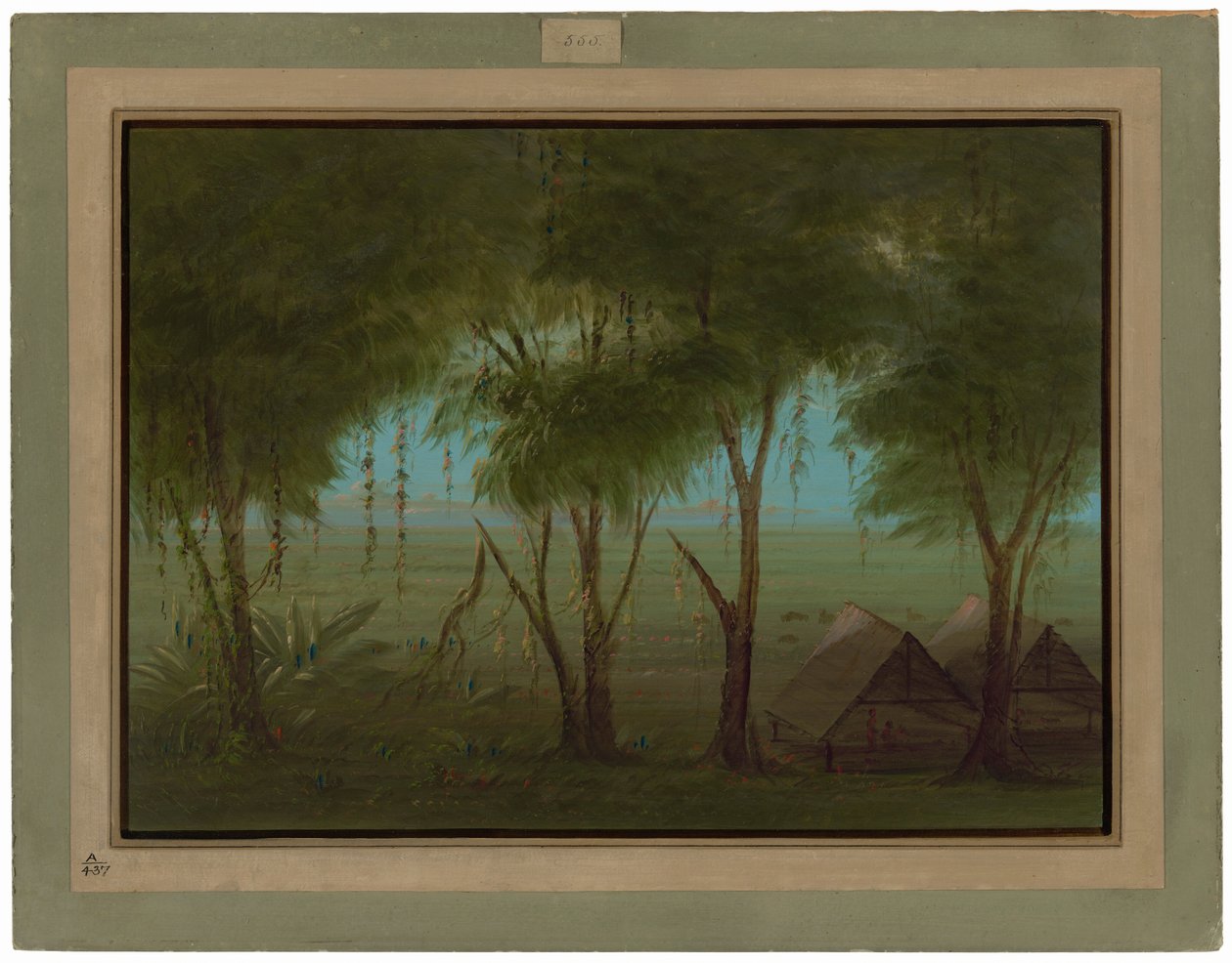Wioska Connibo autorstwa George Catlin