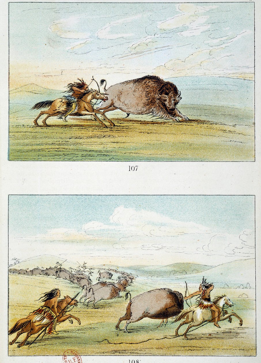 Indianie amerykańscy: polowanie na żubry. Ilustracja George